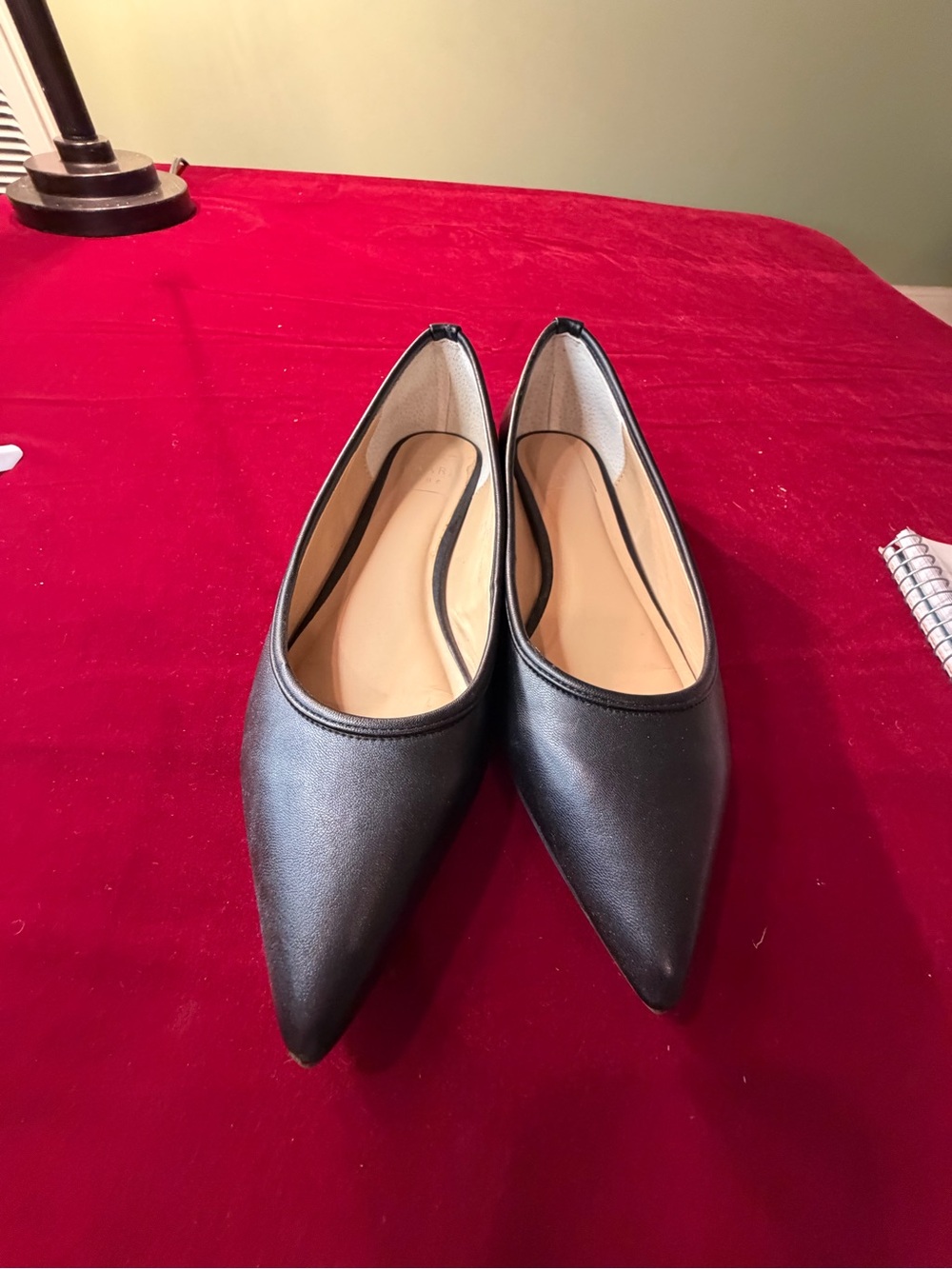 Kaari Blue Pointed Toe Black Flats